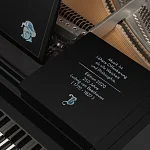 Превью Рояль Bösendorfer Beethoven Edition