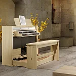 Превью Электронный орган Viscount Domus S5