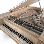 Превью Рояль Fazioli Kengo Kuma