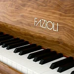 Превью Рояль Fazioli Olive
