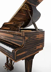 Рояль Fazioli Ebony Black & White