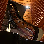 Превью Рояль Shigeru Kawai SK EX-L
