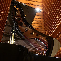Рояль Shigeru Kawai SK EX-L