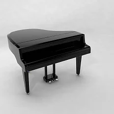 Цифровой рояль PHYSIS PIANO G1000