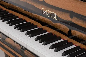 Рояль Fazioli Ebony Black & White