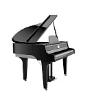 Превью Цифровой рояль PHYSIS PIANO G1000