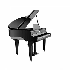 Цифровой рояль PHYSIS PIANO G1000