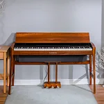 Превью Цифровое пианино FLYKEYS SK3