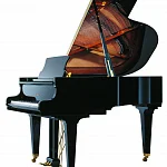 Превью Рояль Schimmel C 169 Tradition