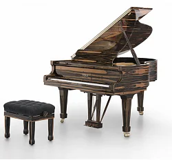 Рояль Fazioli Ebony Black & White
