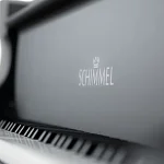 Превью Рояль Schimmel C 169 BLACK PEARL