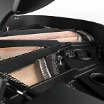 Превью Рояль Schimmel C 169 BLACK PEARL