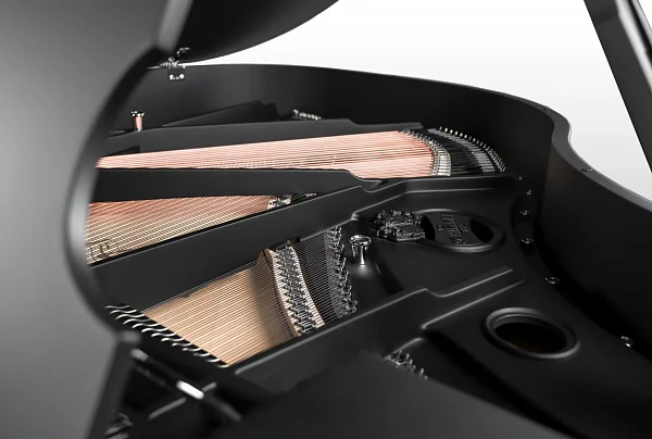 Рояль Schimmel C 169 BLACK PEARL