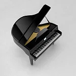 Превью Цифровой рояль PHYSIS PIANO G1000