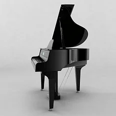 Цифровой рояль PHYSIS PIANO G1000