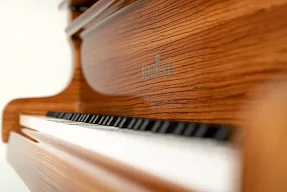 Рояль Schimmel Zebrano