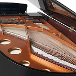 Превью Рояль Bösendorfer 214VC