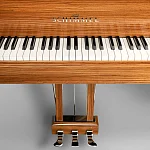 Превью Рояль Schimmel Zebrano