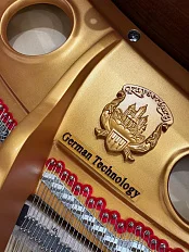 Рояль Kayserburg GH160/A111